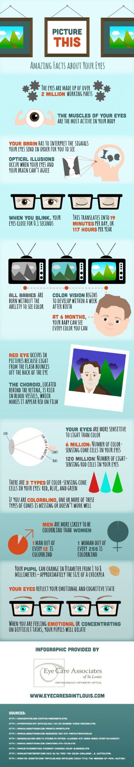 Eye fact